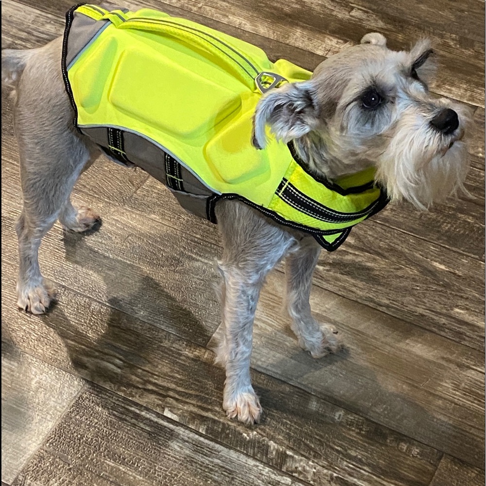 Arcadia Trail yellow life jacket